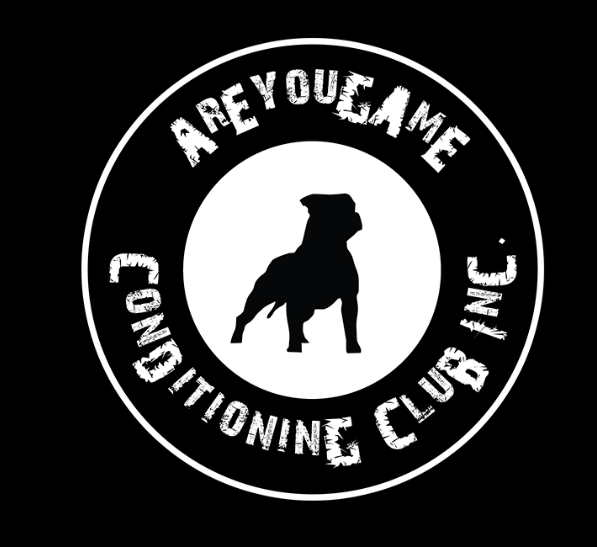 AreYouGame Conditioning Club